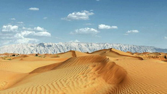 Creative talks of 2014