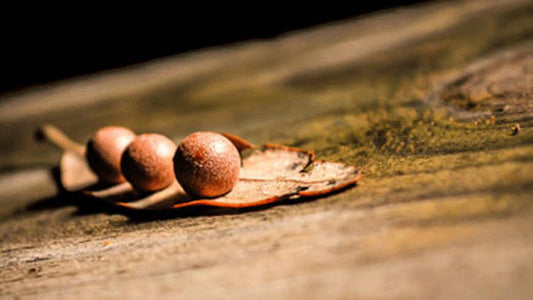 CREATIVE TALKS OF 2014