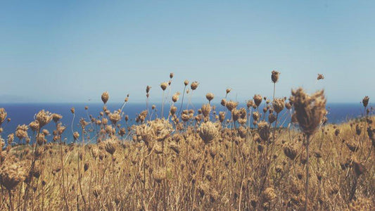 2014 PICTURE GALLERY