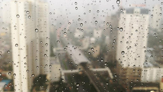 ALONE IN THE BACKYARD